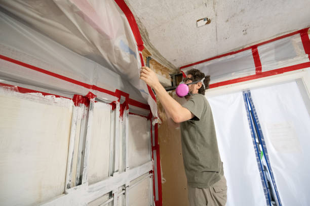 Trusted Amador Pines, CA Mold Removal Experts